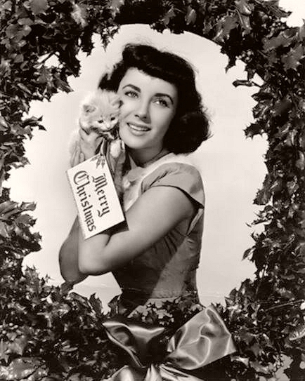 Elizabeth Taylor, British actress, surrounded by a holly wreath holds aloft an adorable kitten  The tag on the feline reads ‘Merry Christmas’