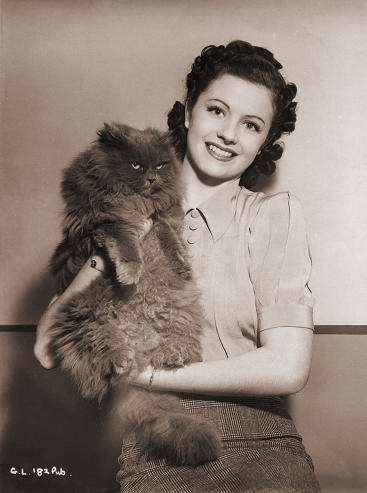 Margaret Lockwood, in costume for A Girl Must Live, holds up a cat for the camera.  The moggy is decidedly unimpressed.