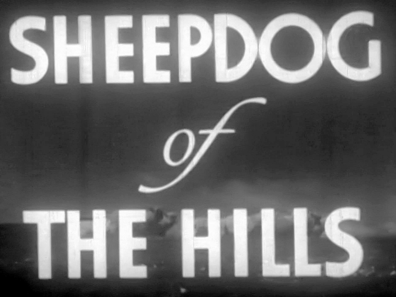 Main title from Sheepdog of the Hills (1941) (3)