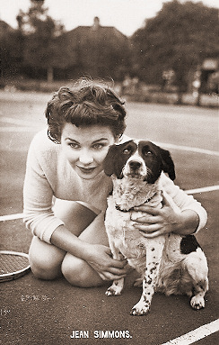 Jean Simmons takes a breather from playing to tennis so as to pet a dog